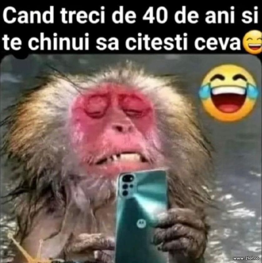 Cand treci de 40 de ani si te chinui sa citesti | poze haioase