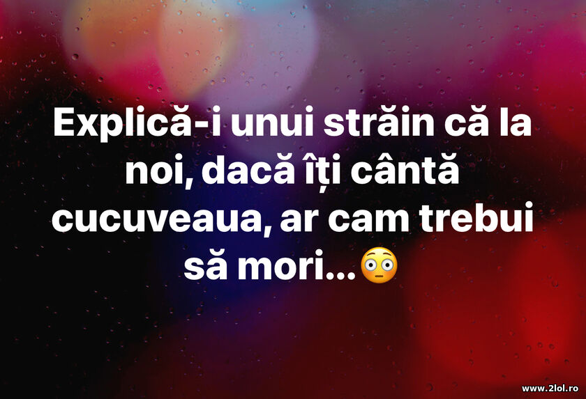 Explica-i unui strain | poze haioase