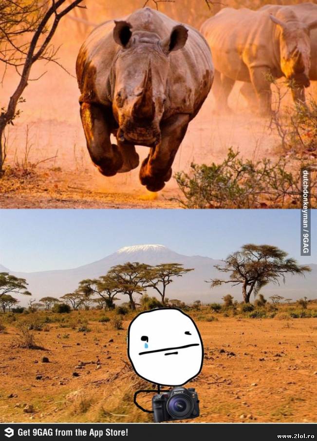 Când iti dai seama  că asta va fi ultima ta poză | poze haioase