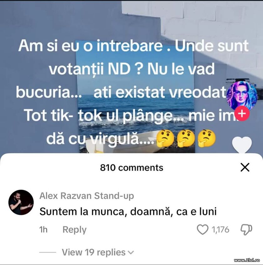 Suntem la munca | poze haioase