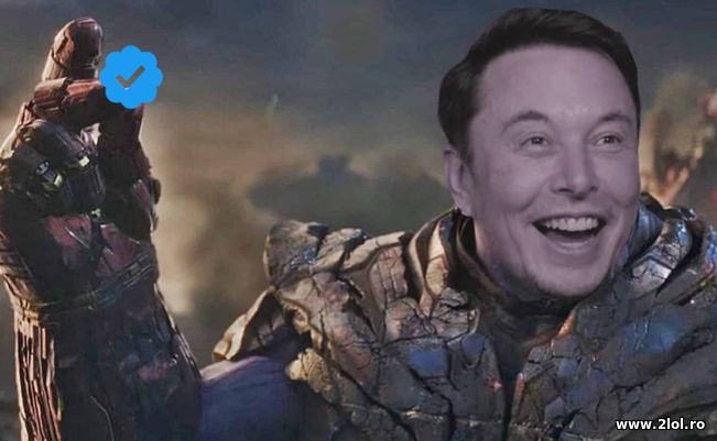 De azi Twitter nu mai afiseaza albastru gratuit | poze haioase