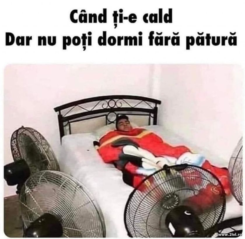 Cand ti-e cald dar nu poti dormi fara patura | poze haioase