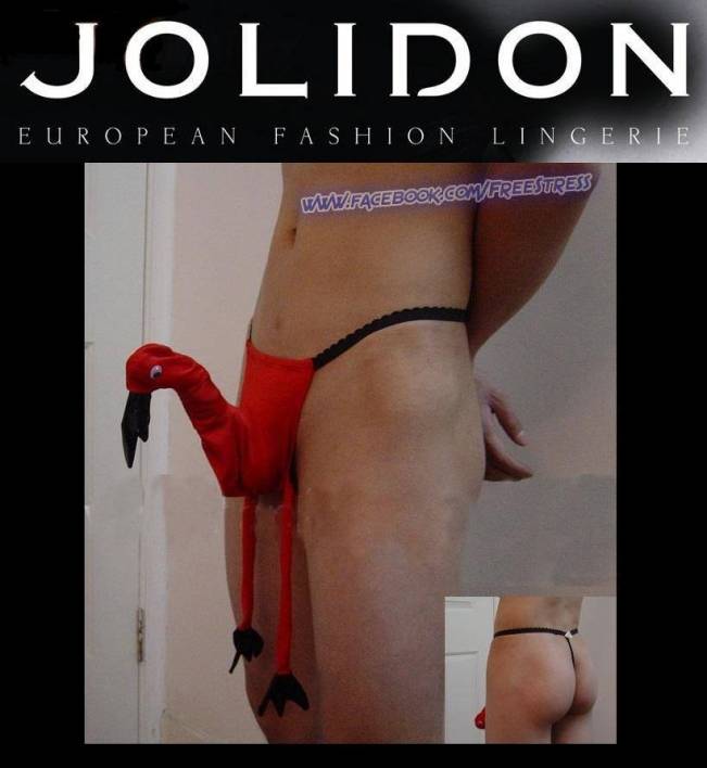 Jolidon | poze haioase