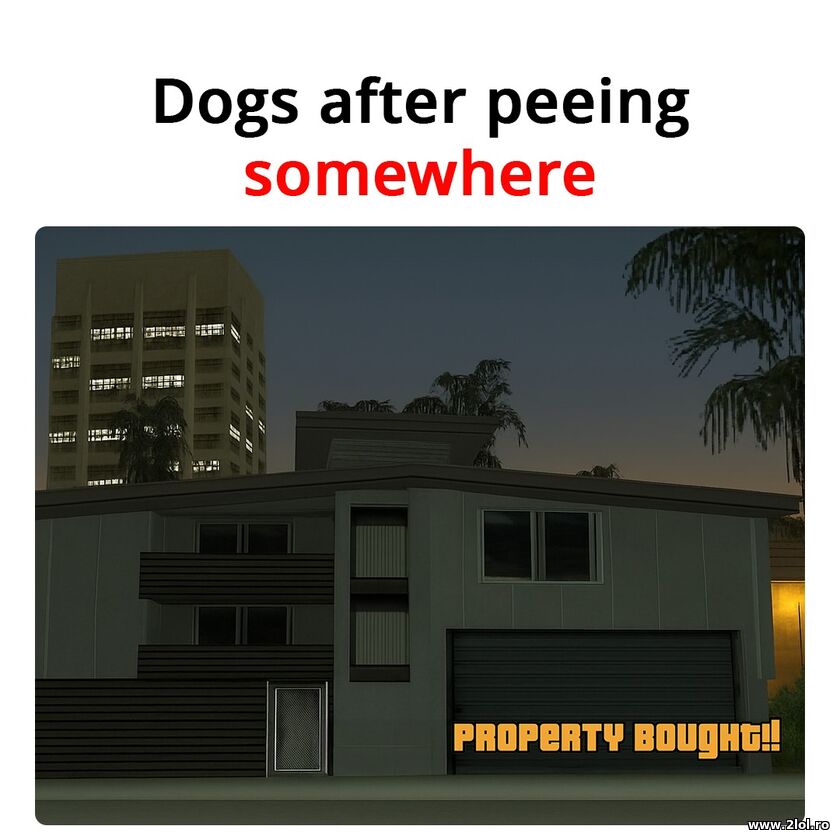 Dogs after peeing somewhere | poze haioase