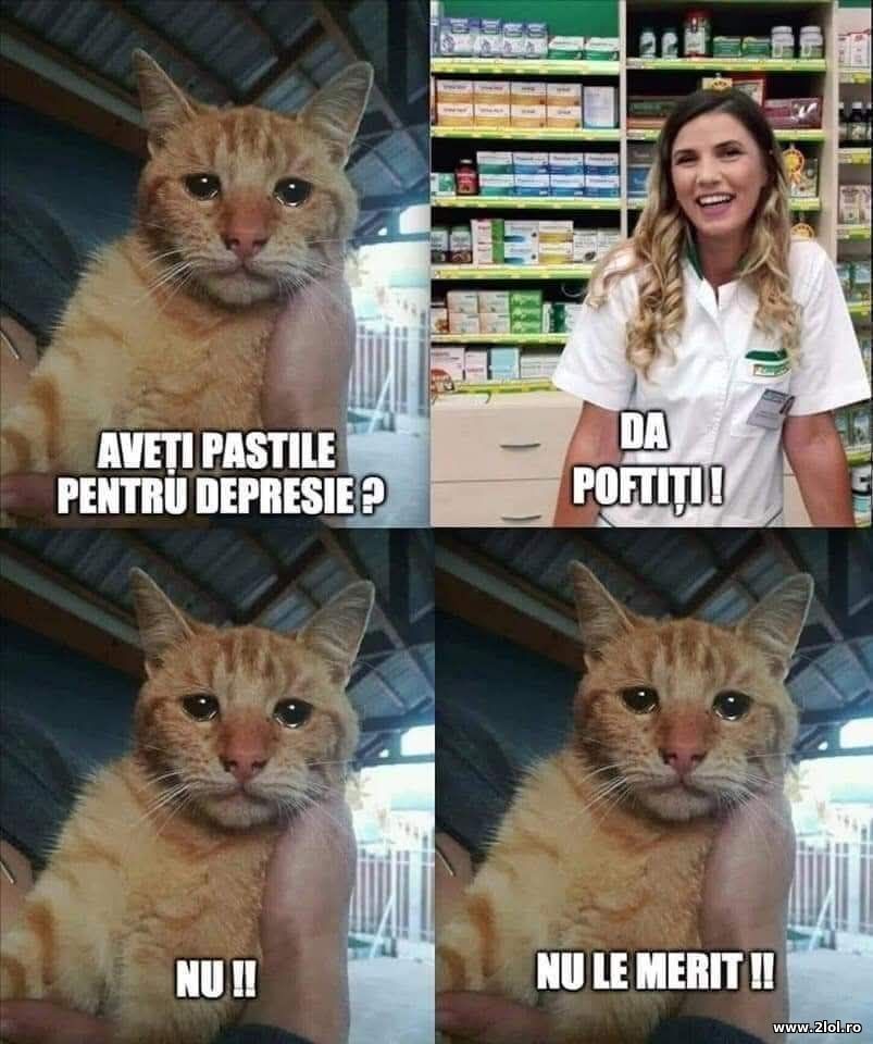 Aveti pastile pentru depresie? | poze haioase