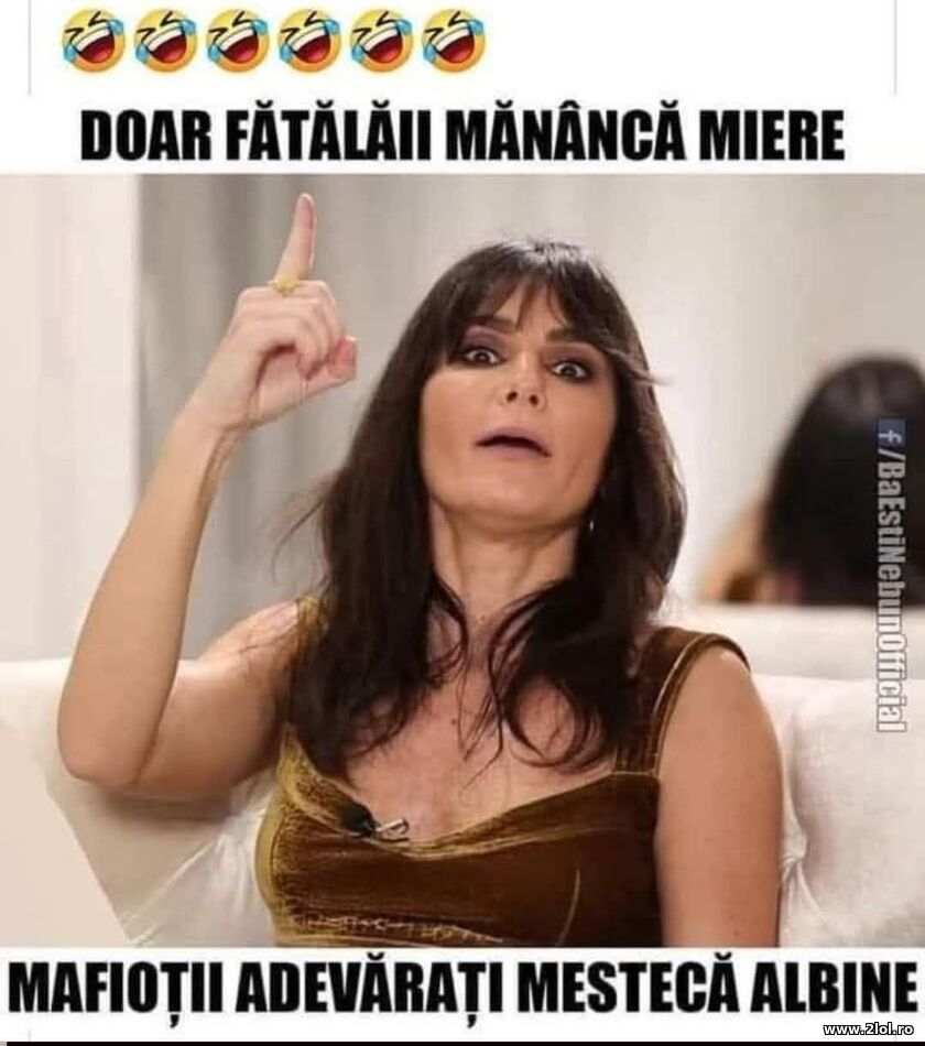 Fatalaii manca miere | poze haioase