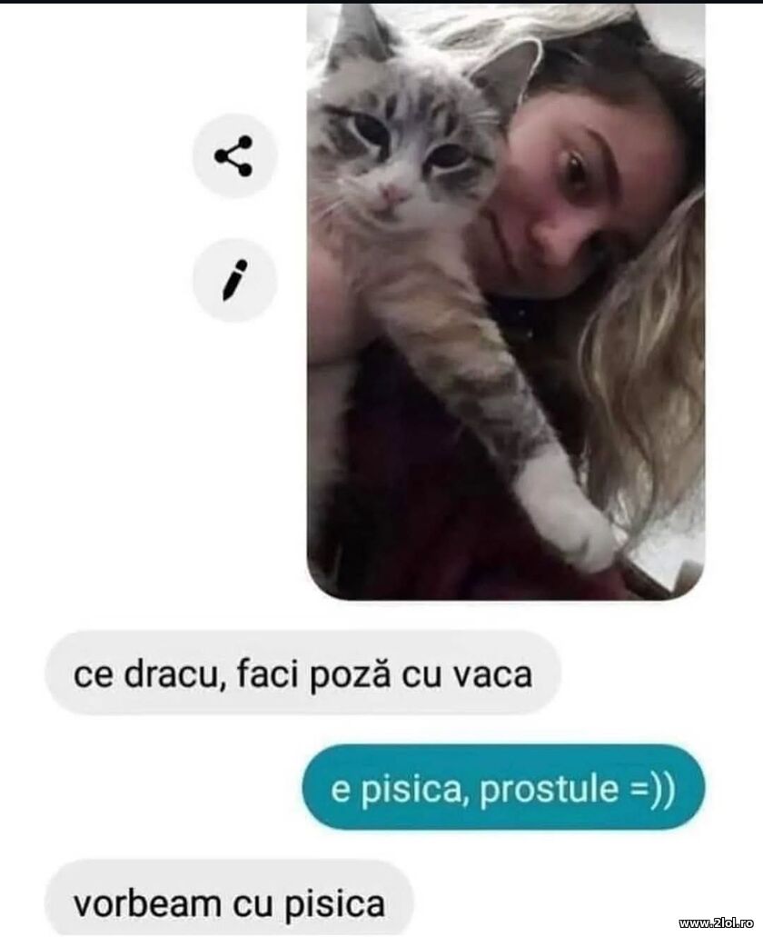 Poza cu vaca | poze haioase