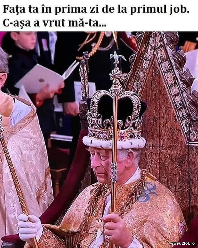 Fata ta in prima zi de lucru - Regele Charles | poze haioase