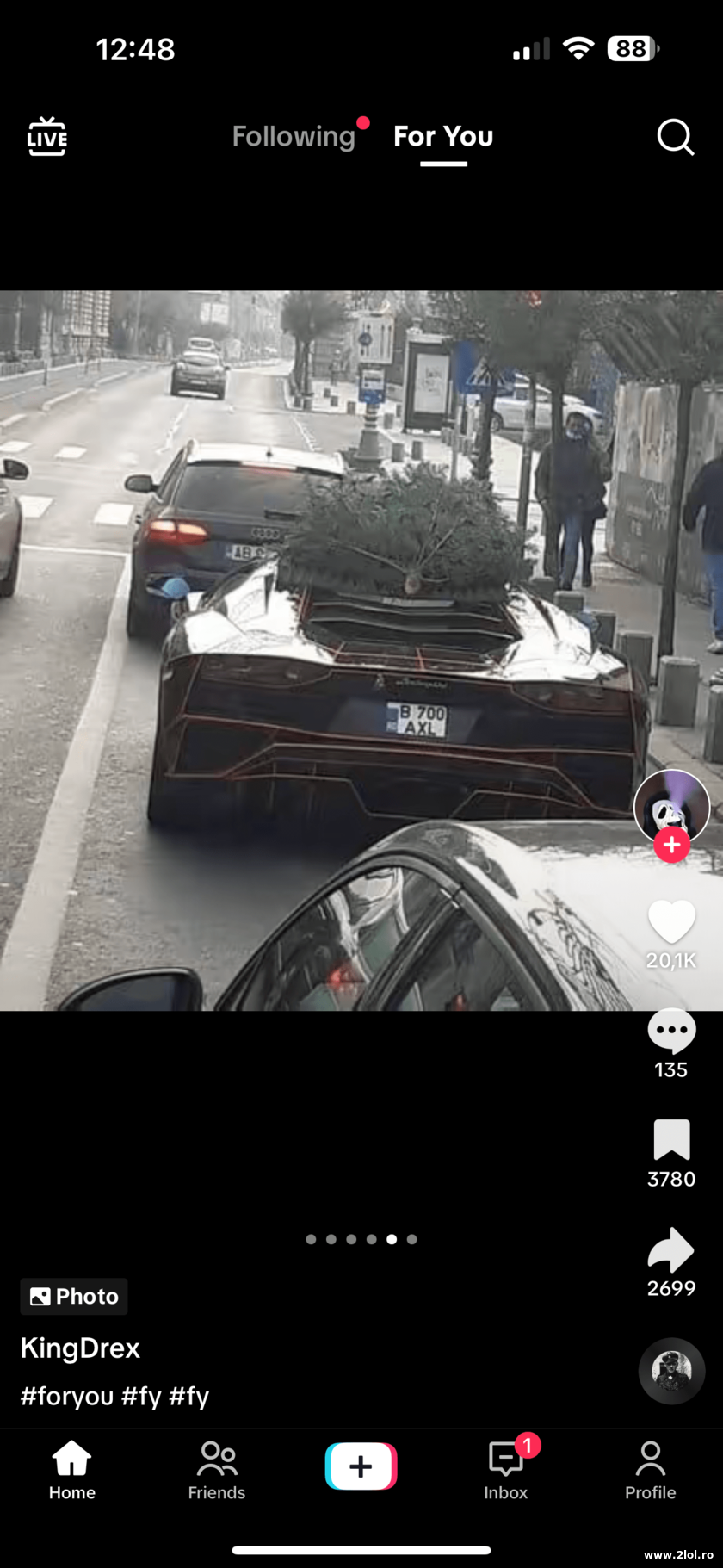 Cand uit sa-ti iei brad | poze haioase