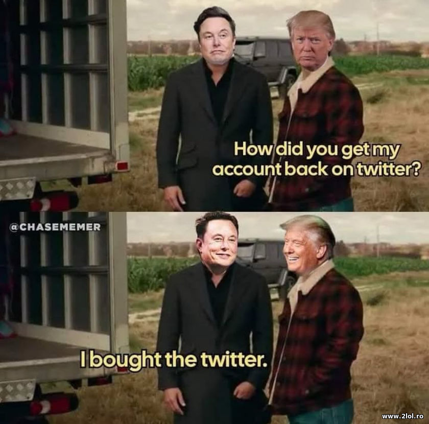 How did you get my account back on Twitter? | poze haioase