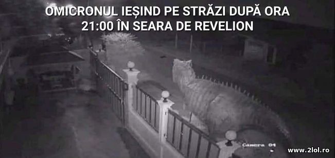 Omnicronul iesin seara | poze haioase