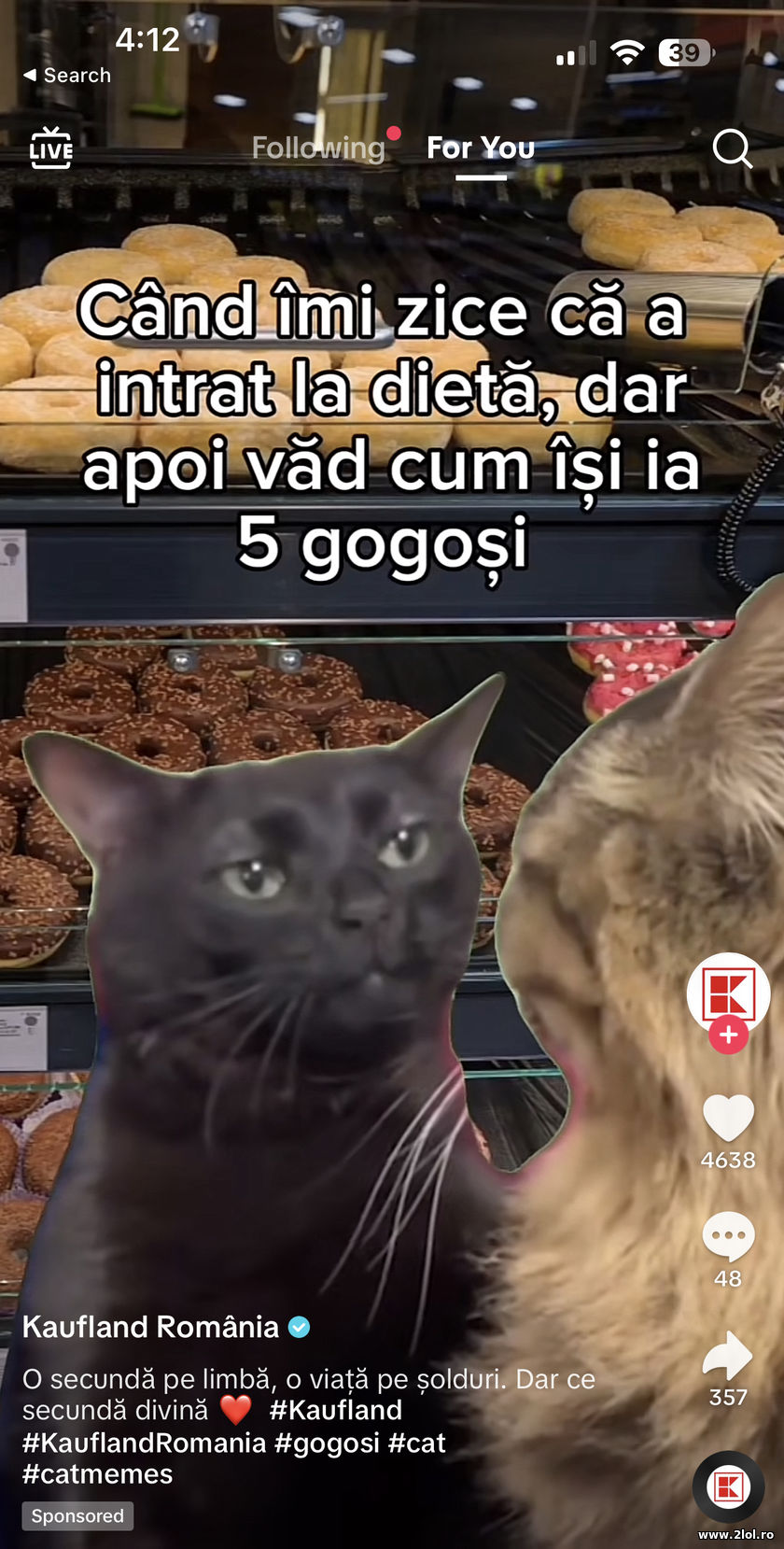 Cand imi zice ca a intrat la dieta | poze haioase