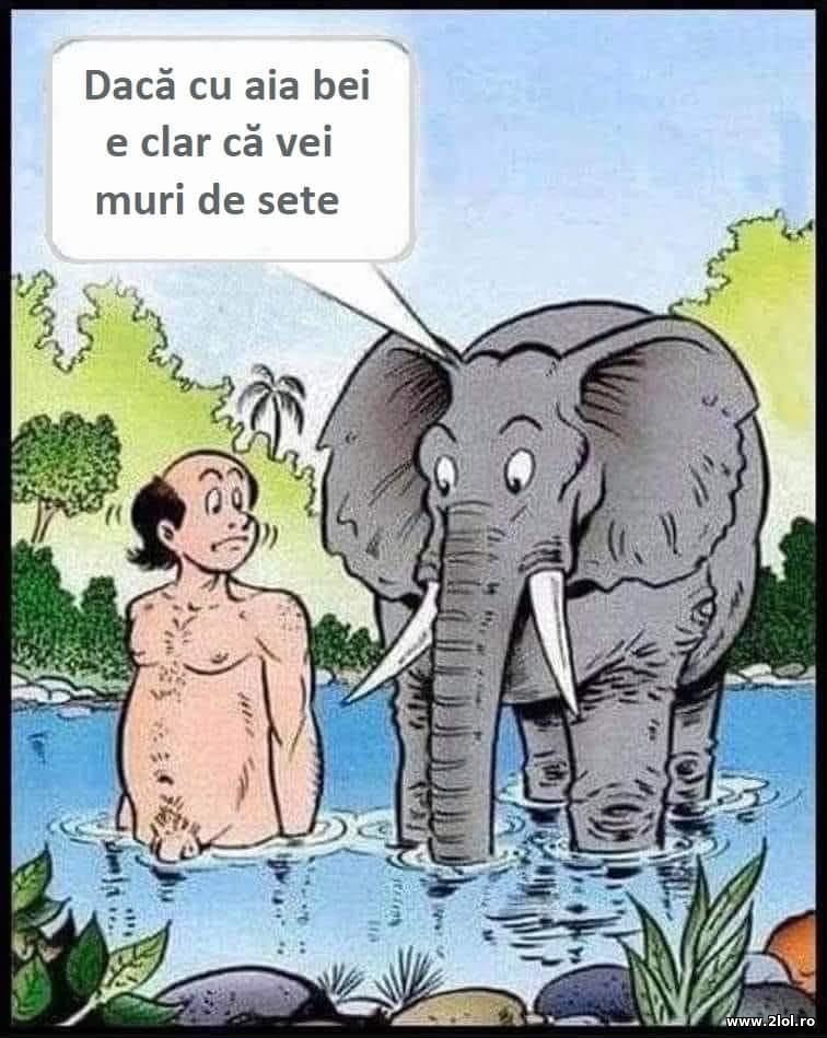 Daca cu aia bei e clar ca vei muri de sete | poze haioase