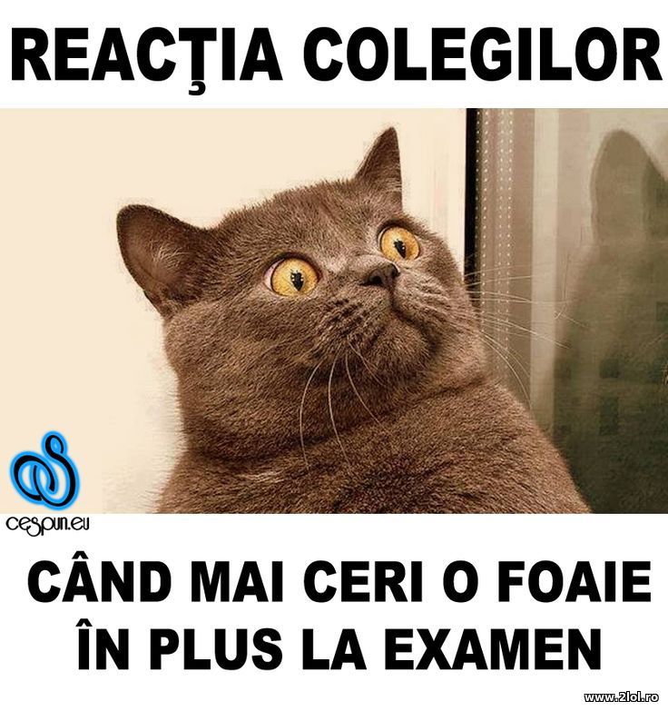 Cand mai ceri o foaie de hartie la examen | poze haioase