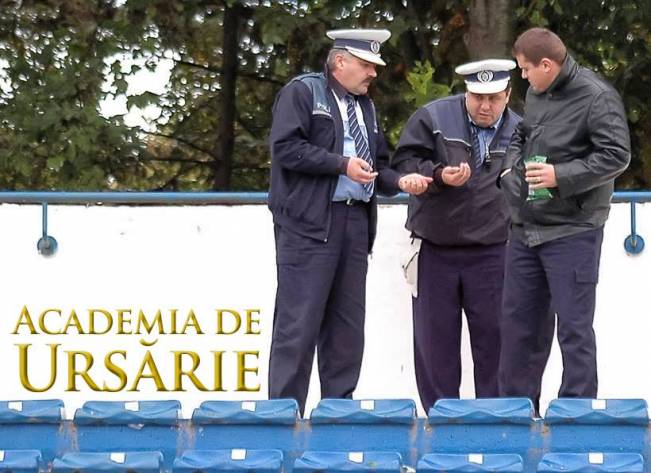 Gărceii în timpul serviciului | poze haioase