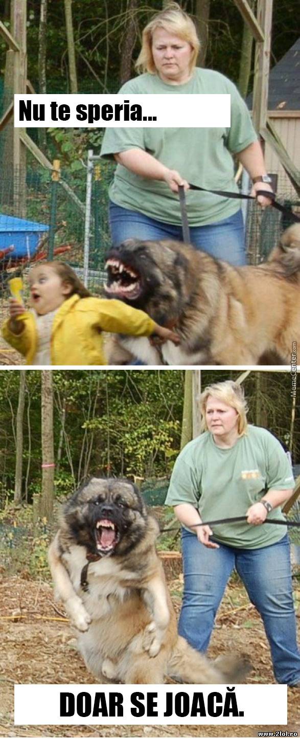 Doar se joacă | poze haioase