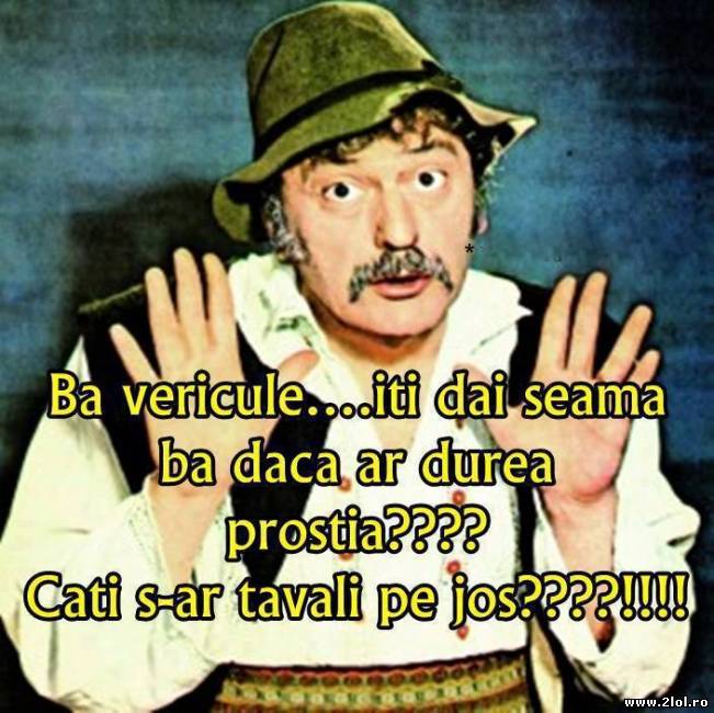 Îţi dai seama dacă prostia ar durea | poze haioase