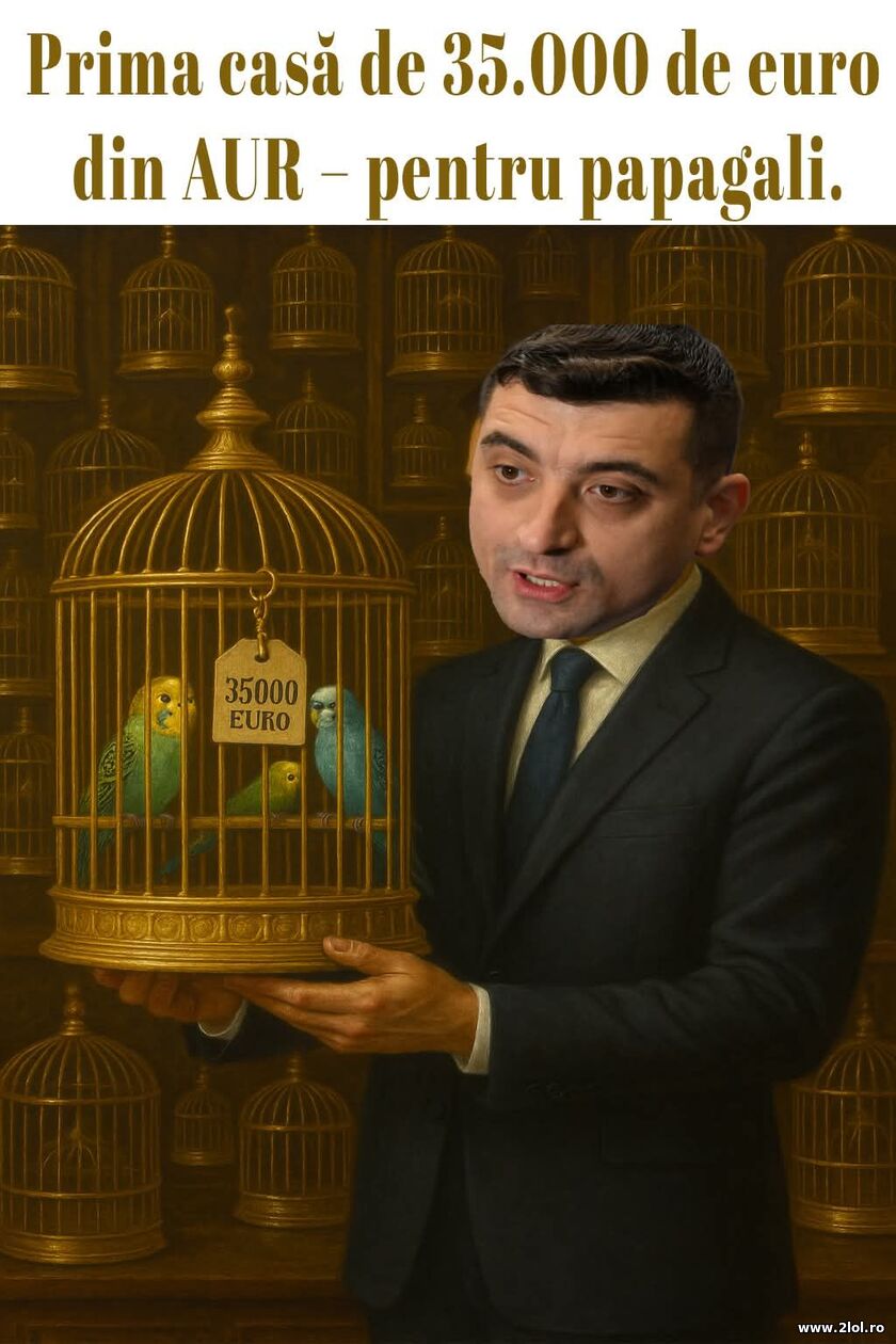 Prima case de 35.000 de euro | poze haioase