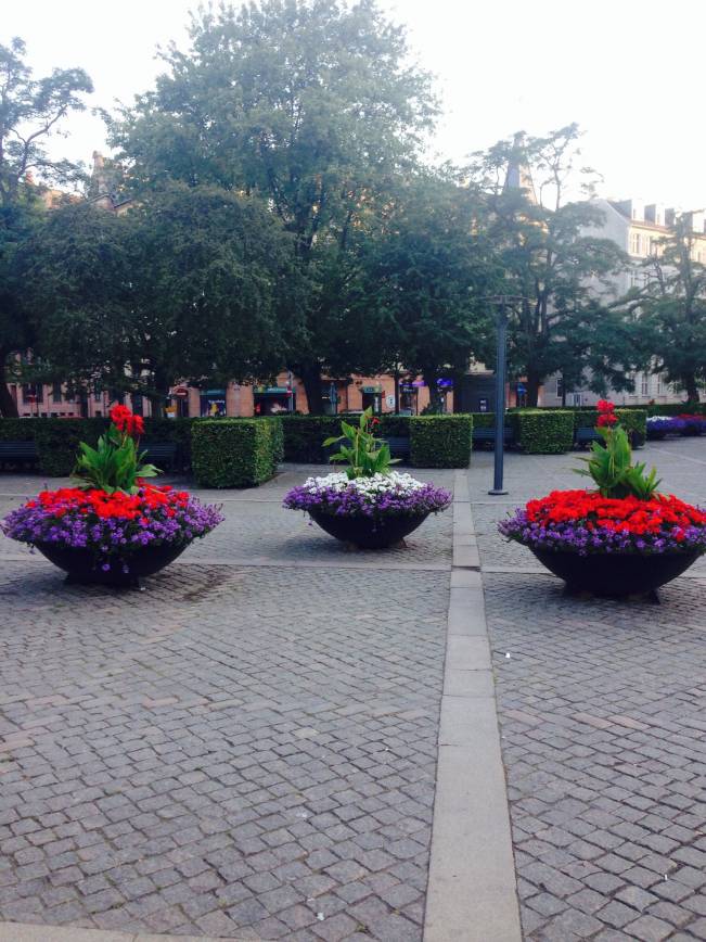 Danemarca | poze haioase