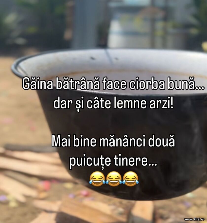 Gaina batrana face ciorba buna | poze haioase