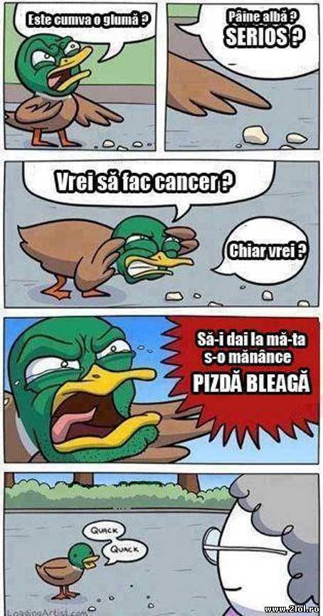 Pâine albă? Serios? | poze haioase