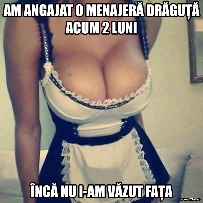 Menajera draguta | poze haioase