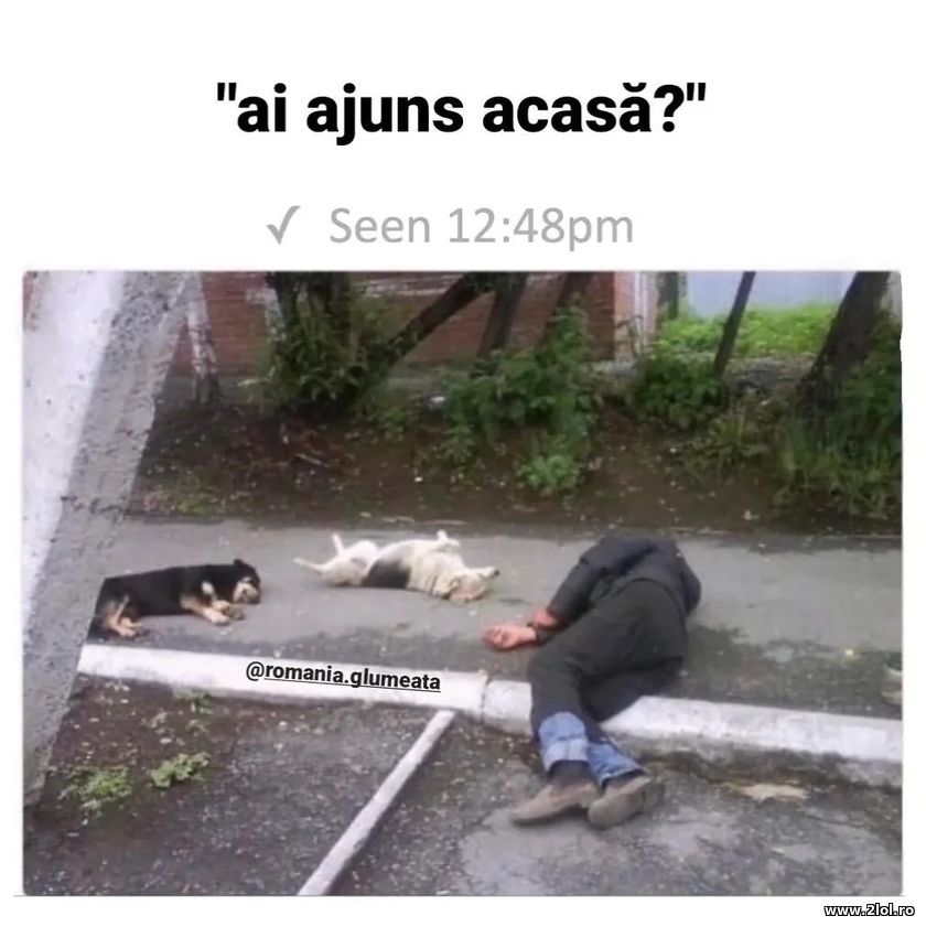 Ai ajuns acasa? | poze haioase