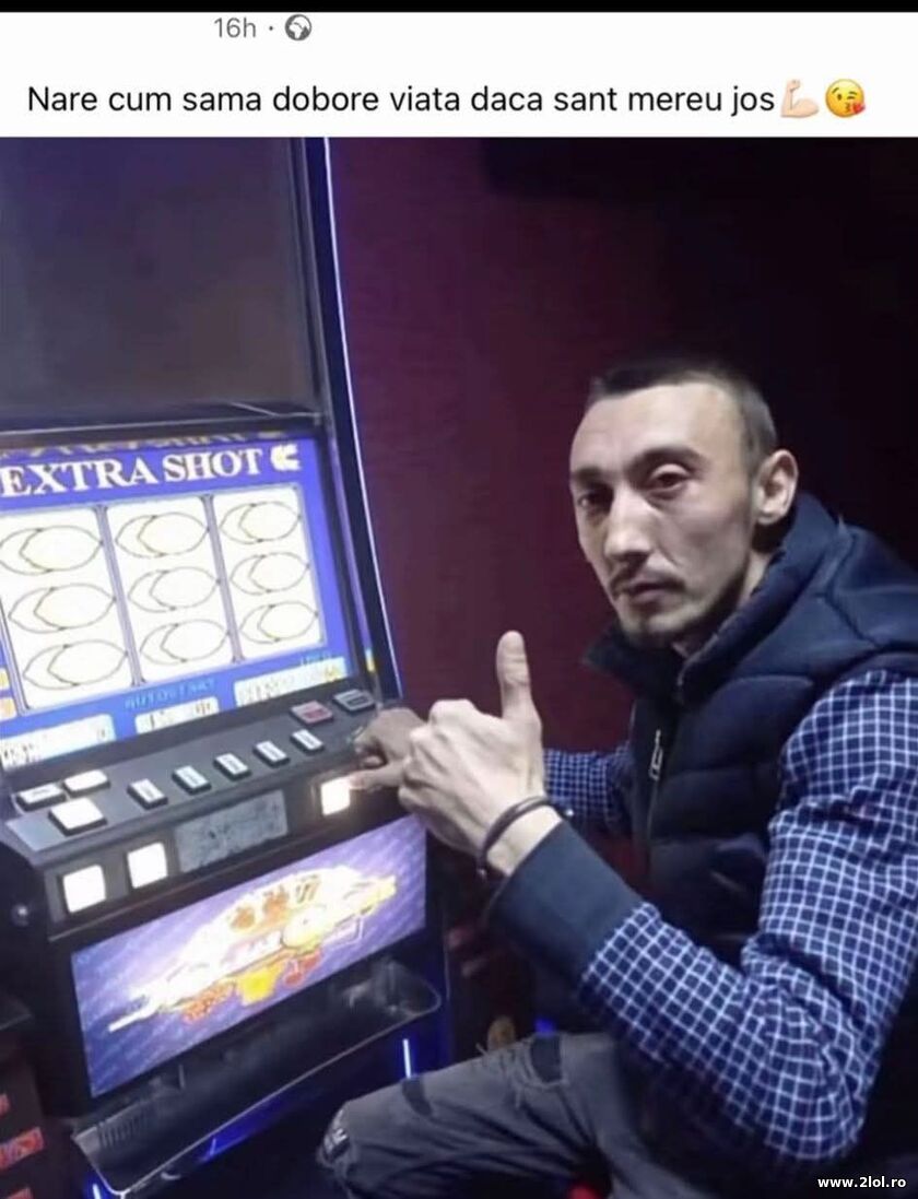 Nu-are cum sa ma doboare viata | poze haioase