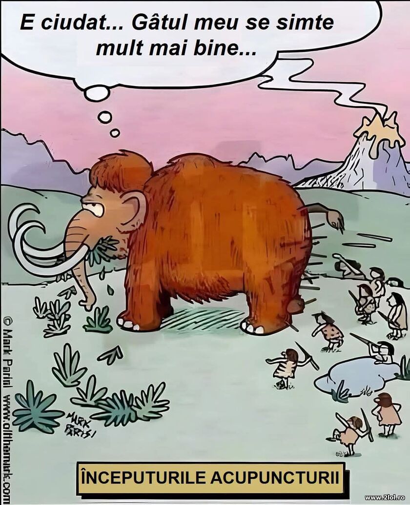 Inceputurile acupuncturii | poze haioase