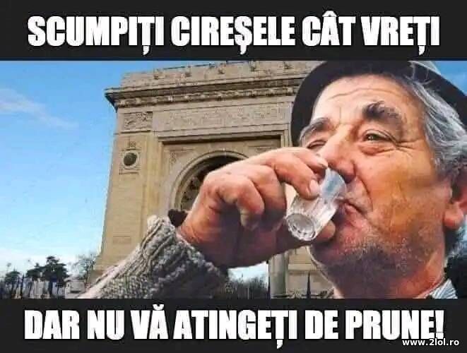 Scumpiti ciresele cat vreti | poze haioase