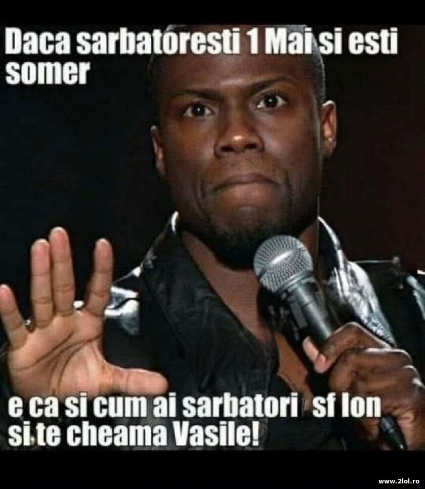 Daca sarbatoresti 1 Mai si esti somer | poze haioase