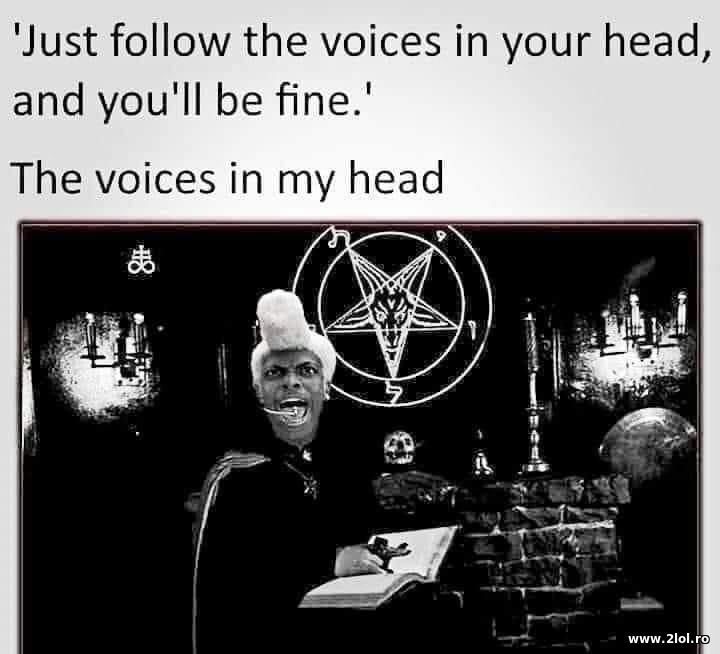 Just follow the voices in your head | poze haioase