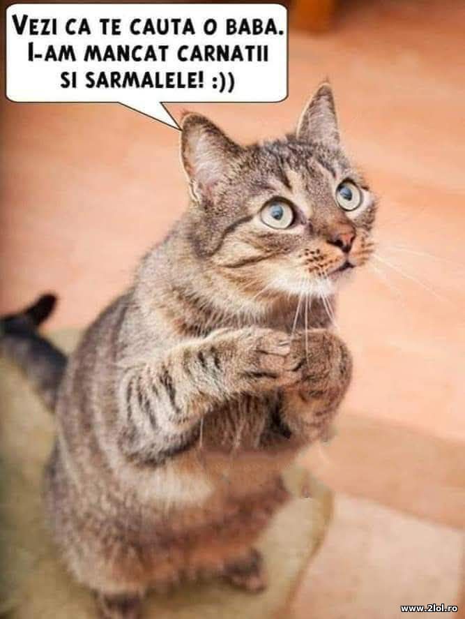 Vezi ca te cauta o baba | poze haioase