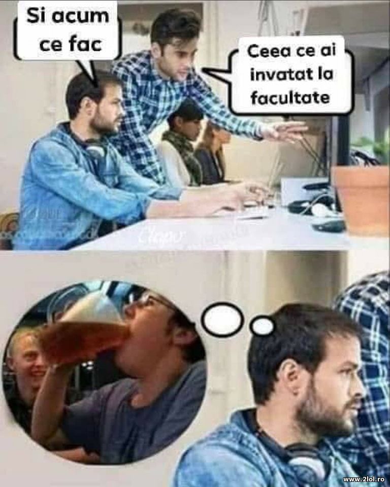Si acum ce fac. Cea ce ai invatat la facultate | poze haioase