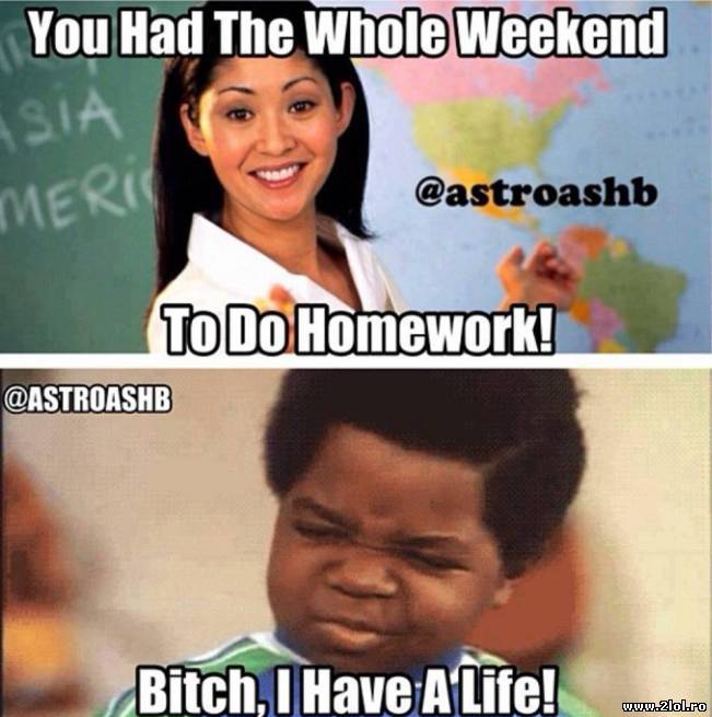 Ai avut timp tot weekend-ul sa îti faci tema | poze haioase