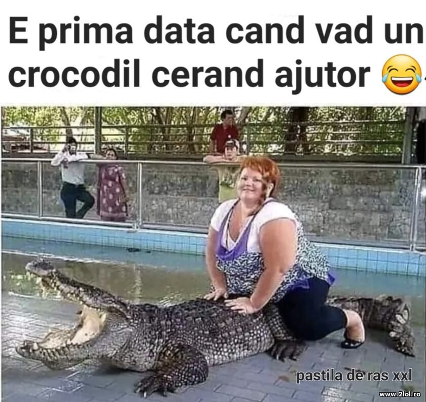 Prima data cand vad | poze haioase