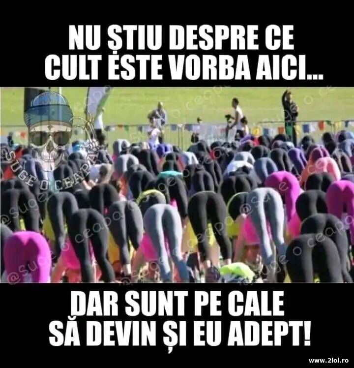 Ce cult e aici | poze haioase