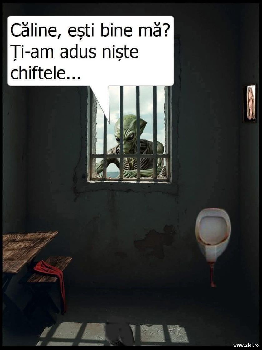 Caline, esti bine ma? | poze haioase