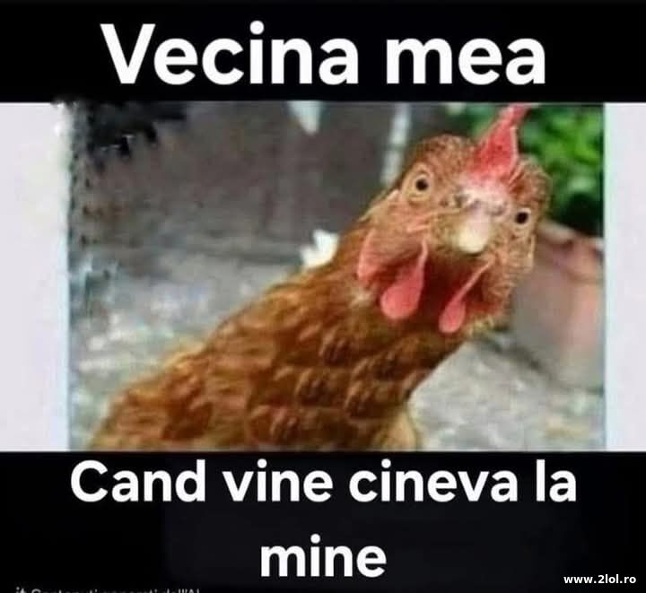 Vecina mea | poze haioase