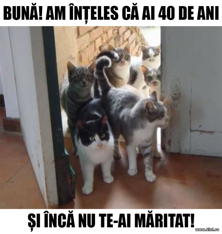 Peste 40 de ani | poze haioase