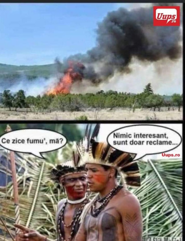 Ce zice fumul? | poze haioase