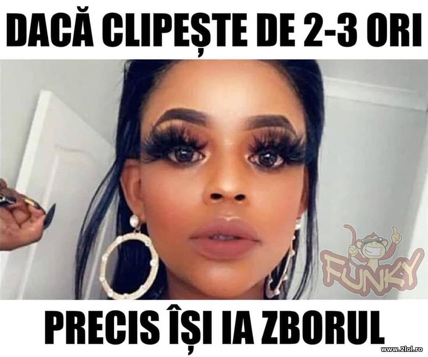 Daca clipeste de 2-3 ori sigur is ia zborul | poze haioase