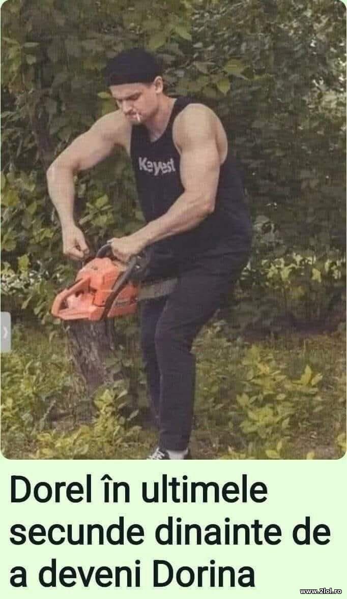 Dorel | poze haioase