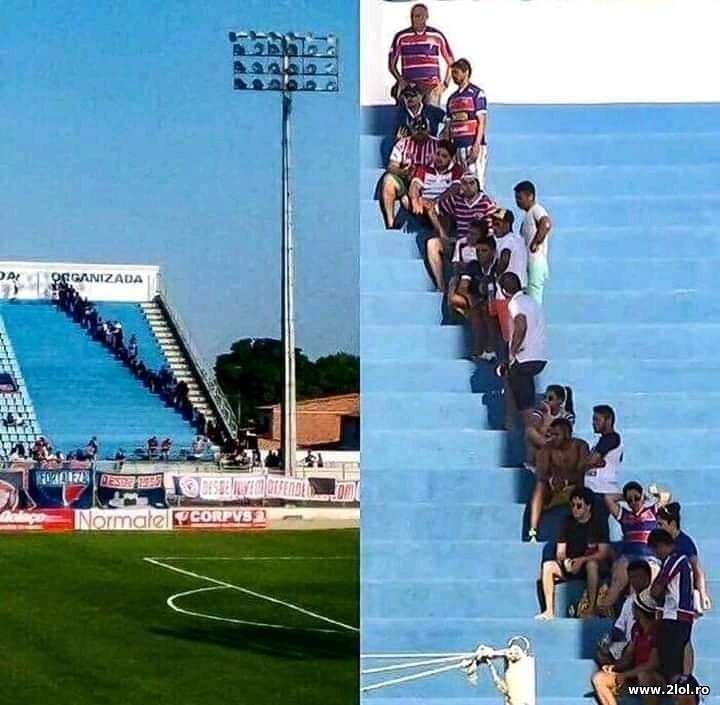 La umbra | poze haioase