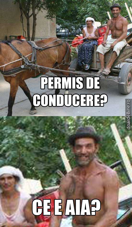 De ce n-are rost să dai șpagă pentru permis | poze haioase