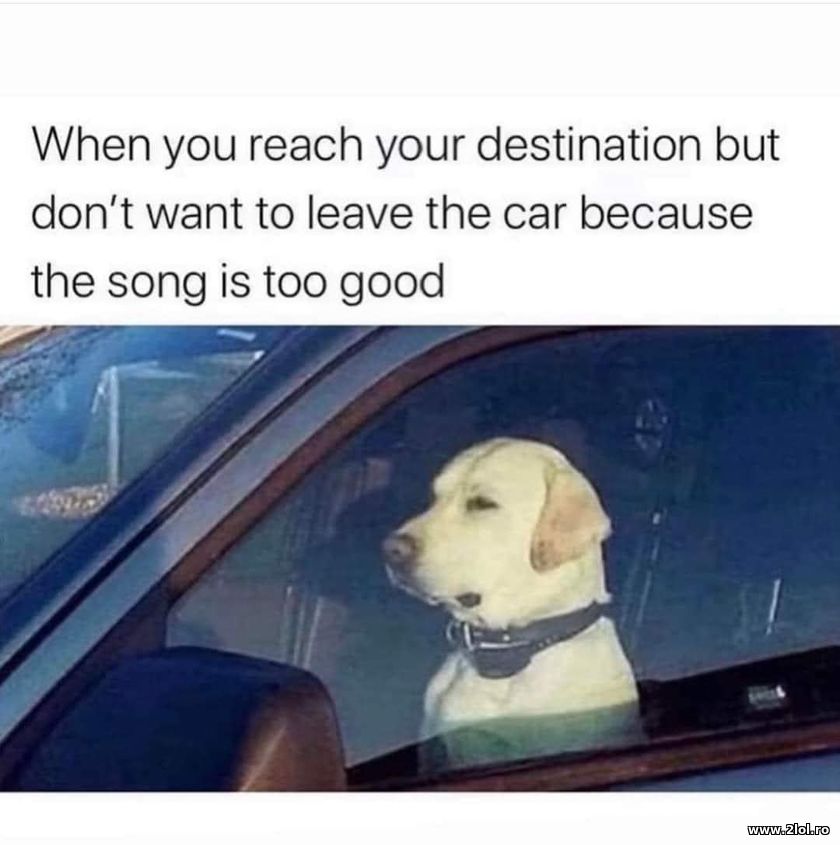 But don't want to leave the car good song | poze haioase