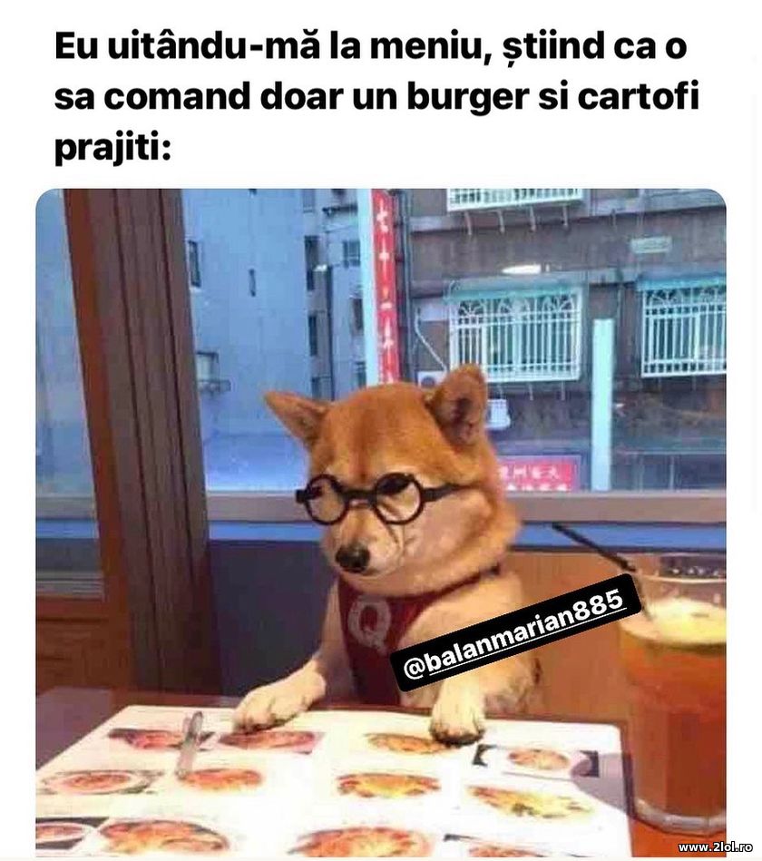 Eu uitandu-ma la meniu, stiind ca o sa | poze haioase