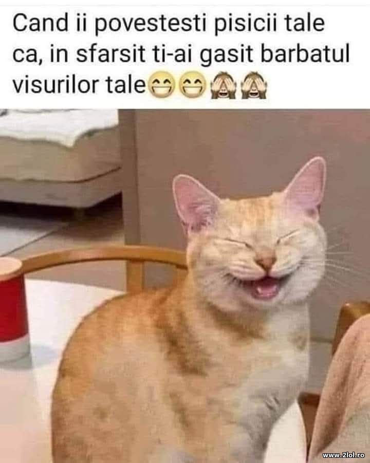 Barbatul visurilor tale | poze haioase