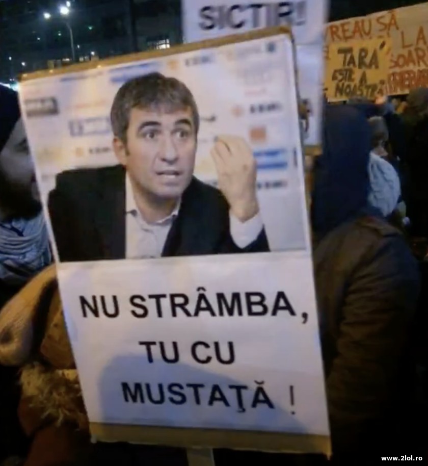 Nu stramba, tu cu mustata! | poze haioase