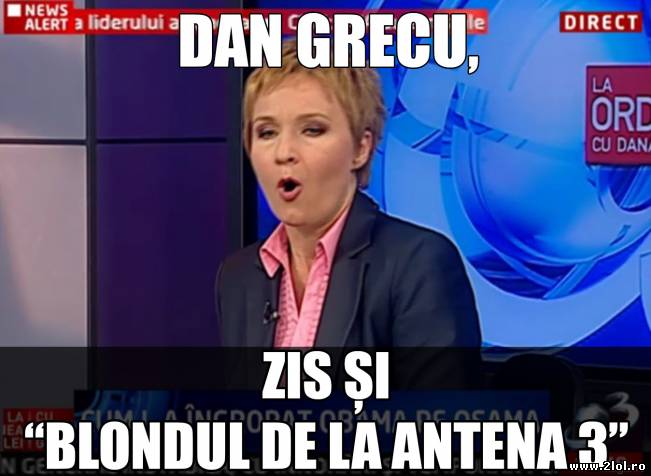 Dan Grecu | poze haioase